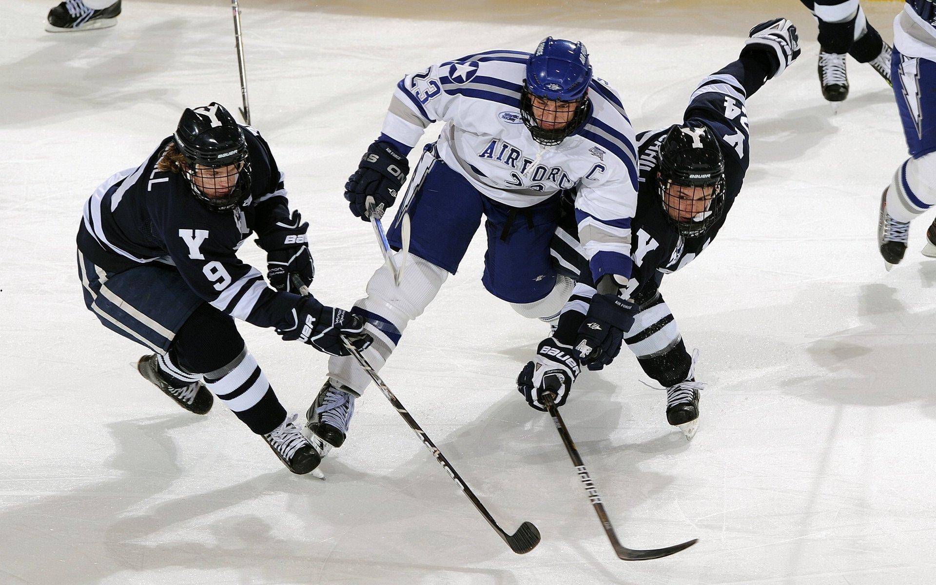 短道速滑世界杯北京站落幕 中国队斩获两金一银创赛季最佳