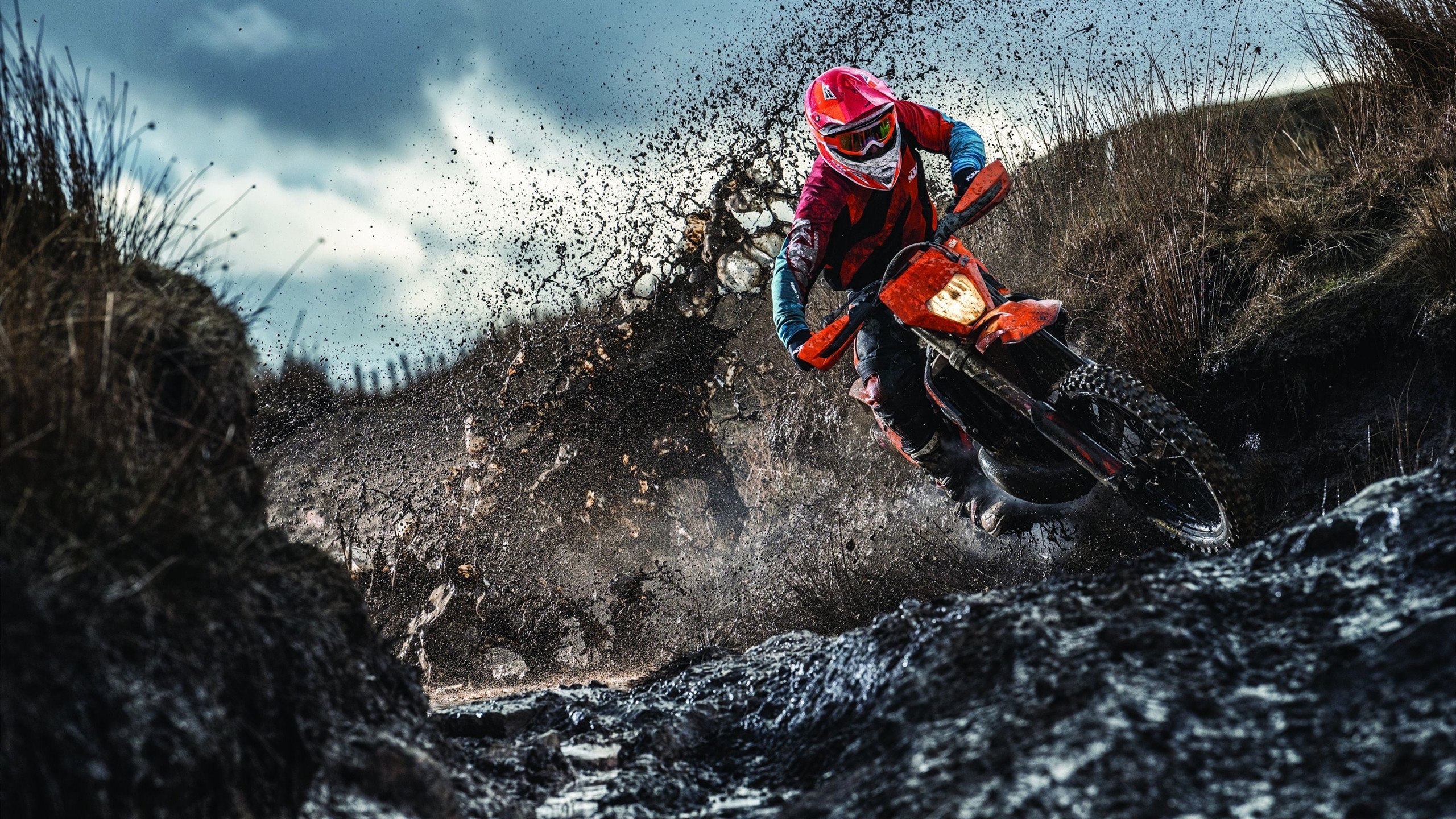 归化球员助力国足崛起 本土青训体系亟待加强